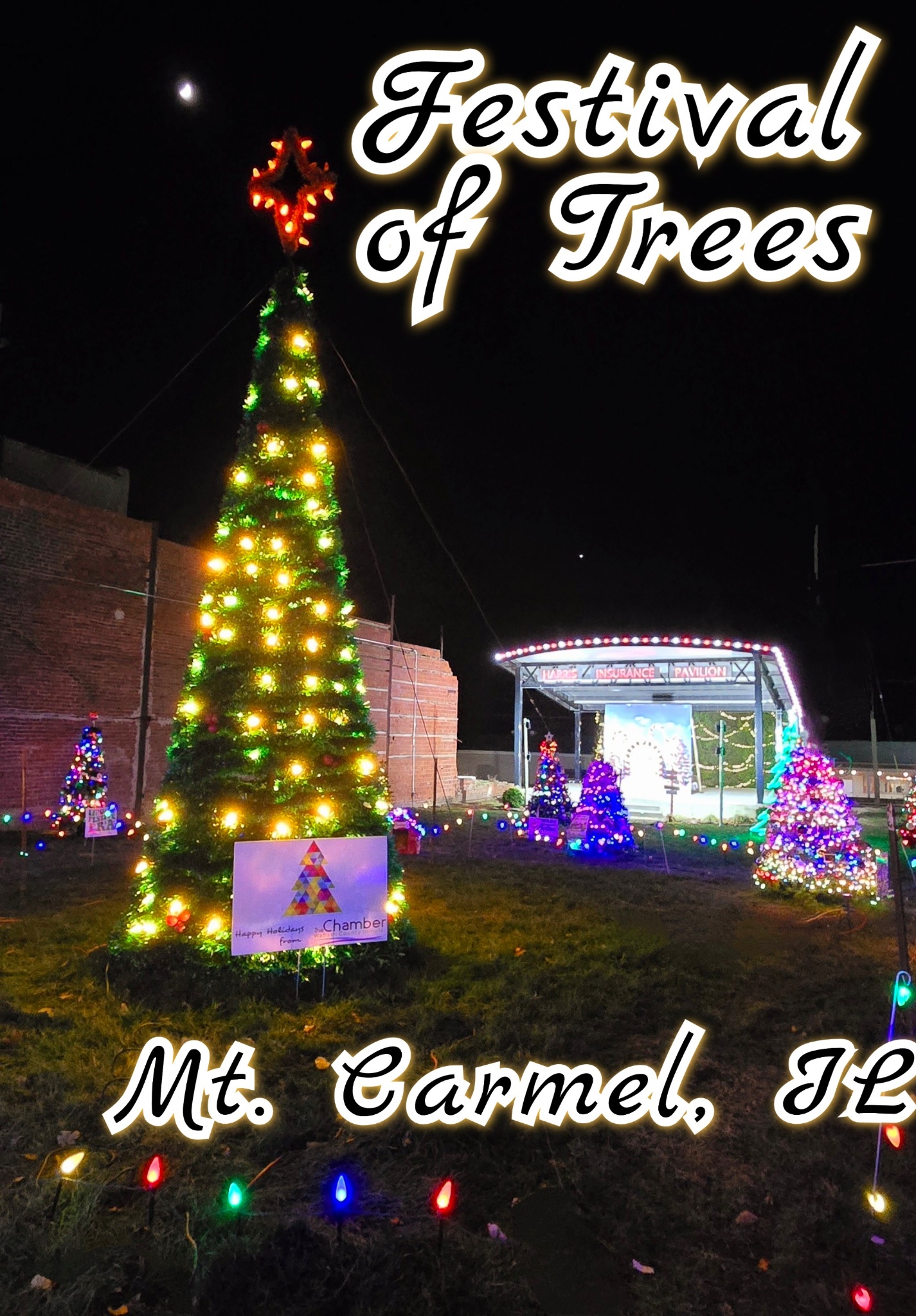 Festival of Trees